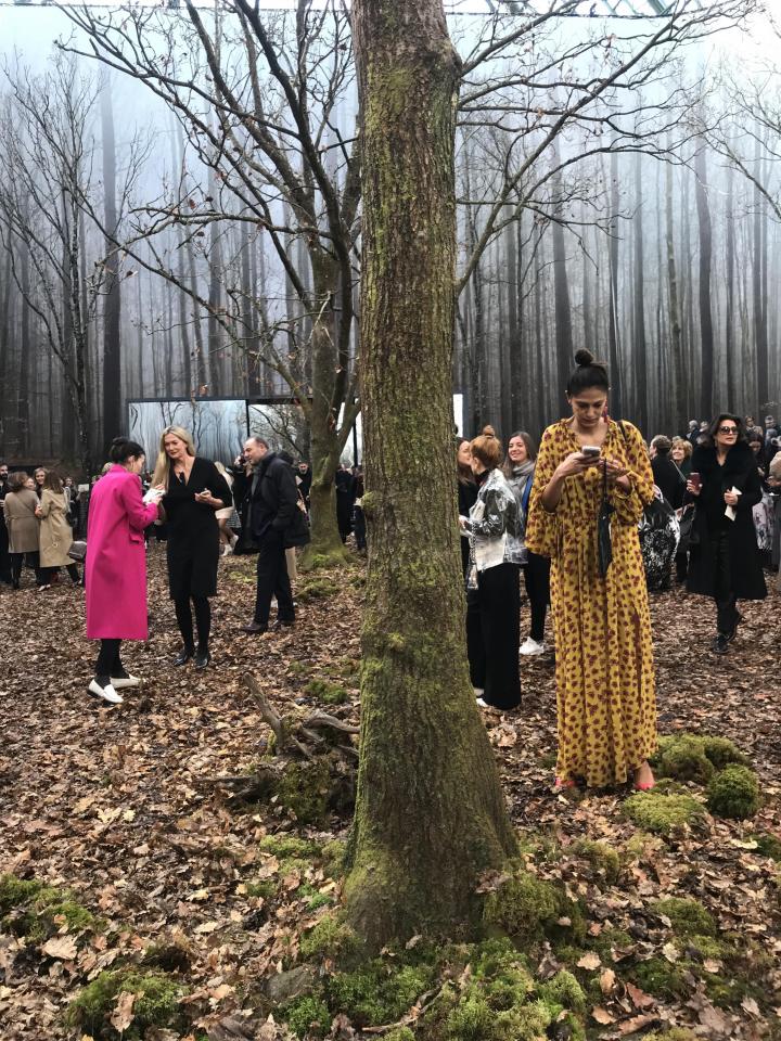 Chanel Forest